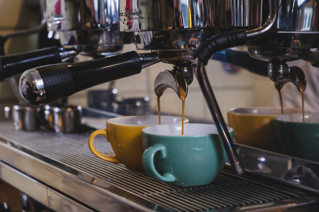 Caffeine - portafilter machine Playground Coffee coffee roastery Hamburg 